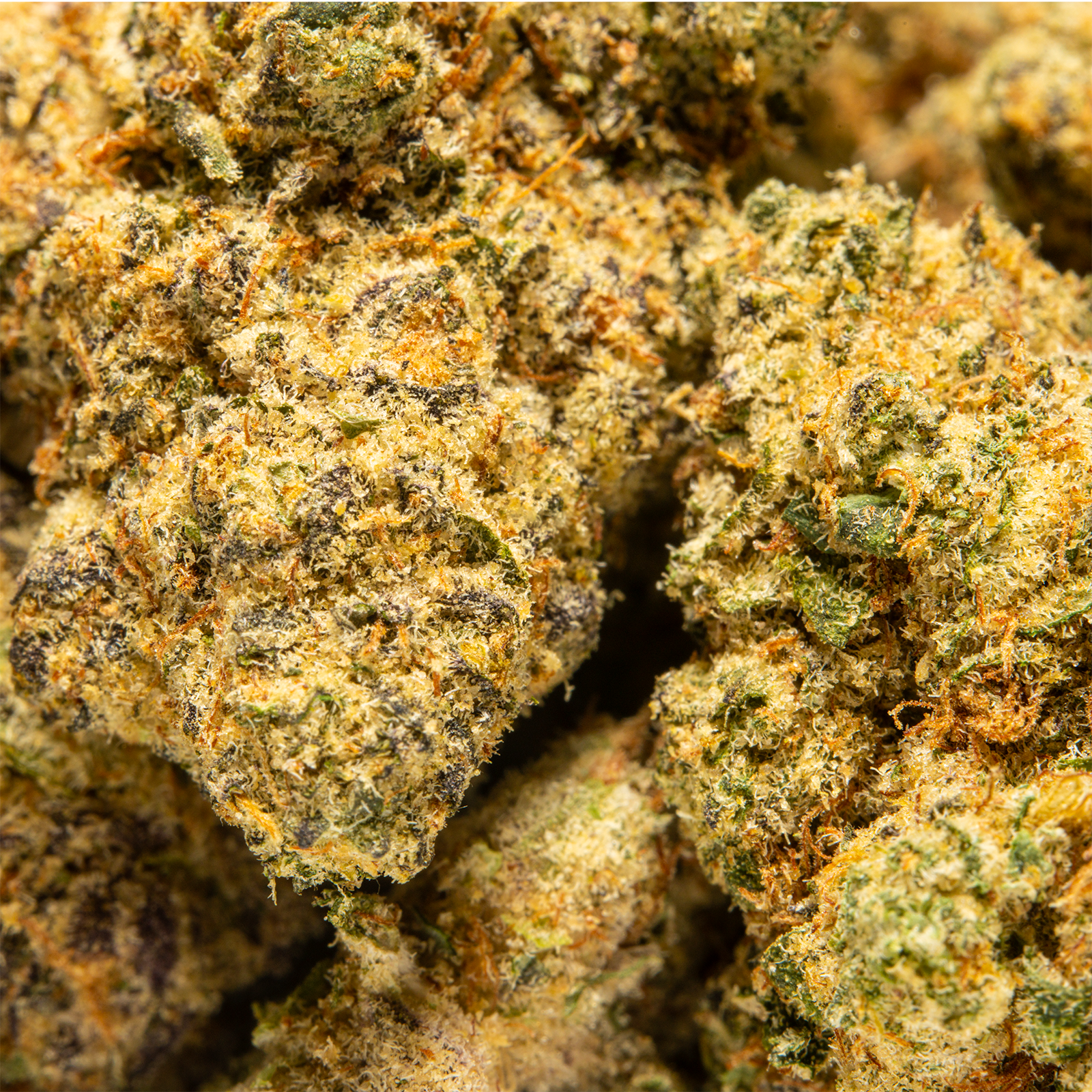 Top Jar Jokerz Candy - Flower Bigs