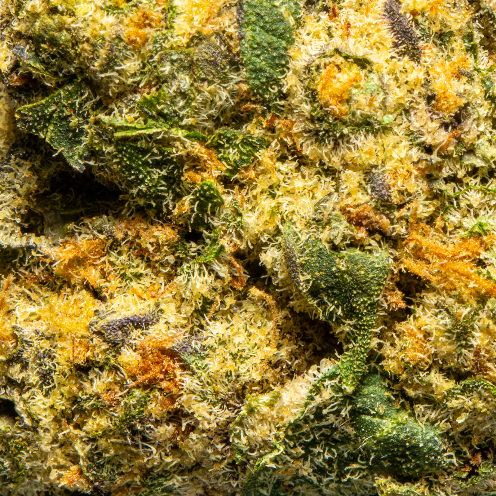 Top Jar Pink Lemonade - Flower Bigs