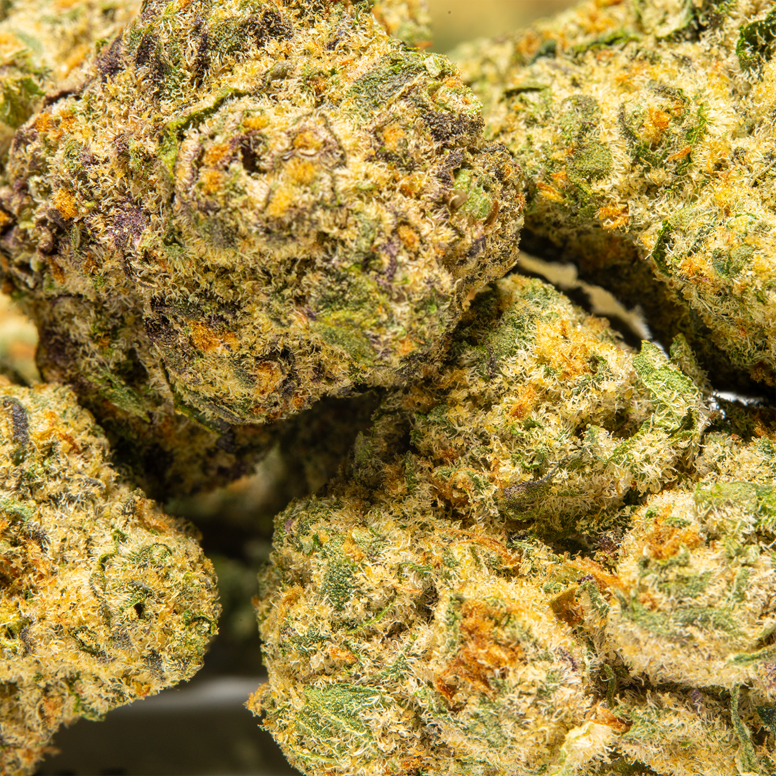 Top Jar Pink Lemonade - Flower Bigs