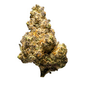 Top Jar Pink Starburst - Flower Bigs