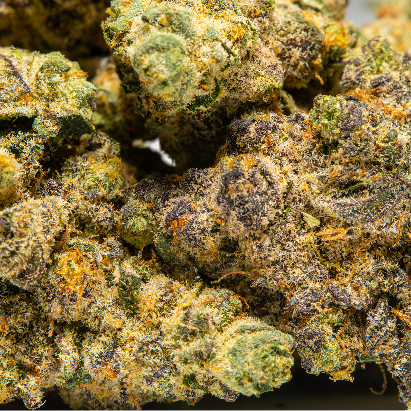 Top Jar Pink Starburst - Flower Bigs