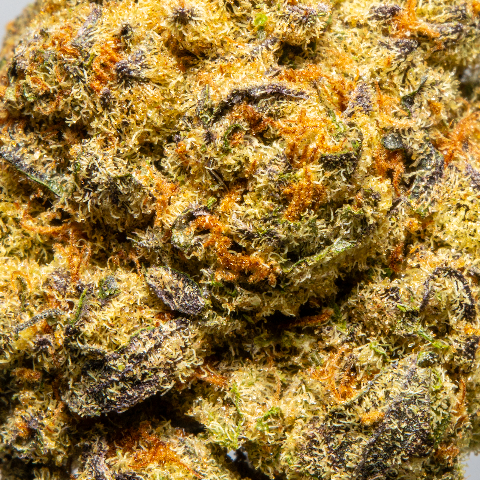 Top Jar Pop Rocks - Flower Bigs