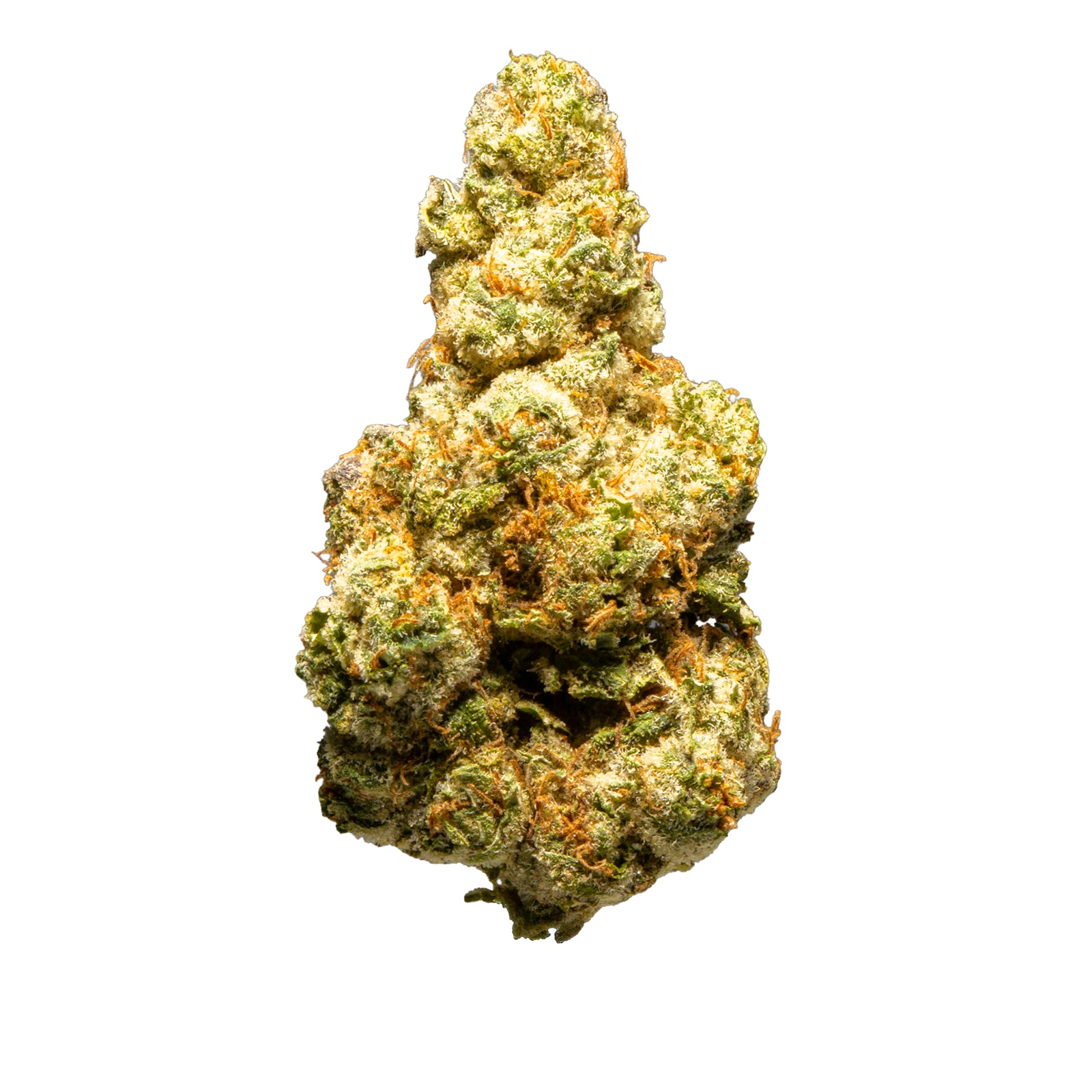 Top Jar Snow Leopord - Flower Bigs