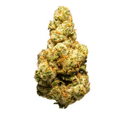 Top Jar Snow Leopord - Flower Bigs