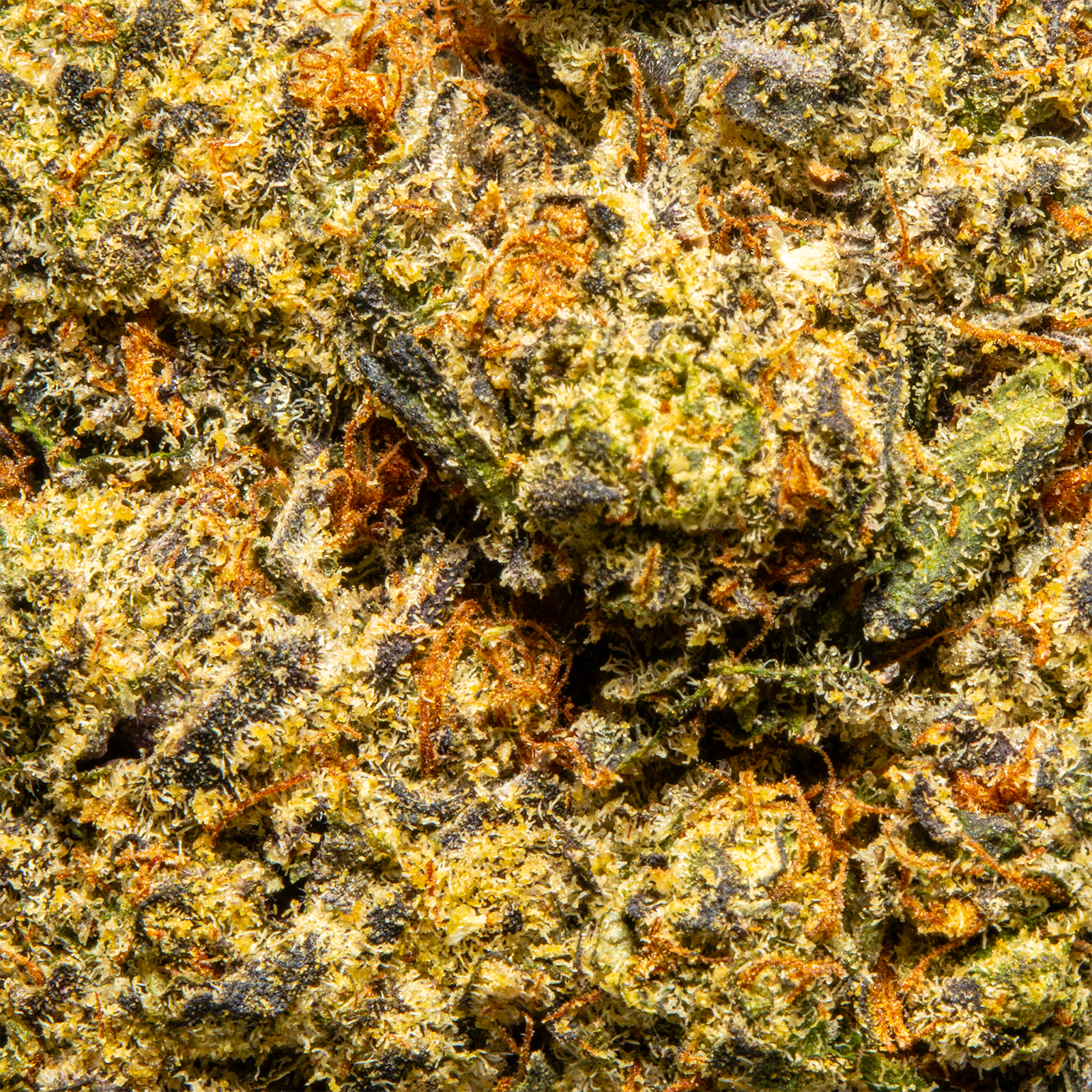 Top Jar White Guava - Flower Bigs