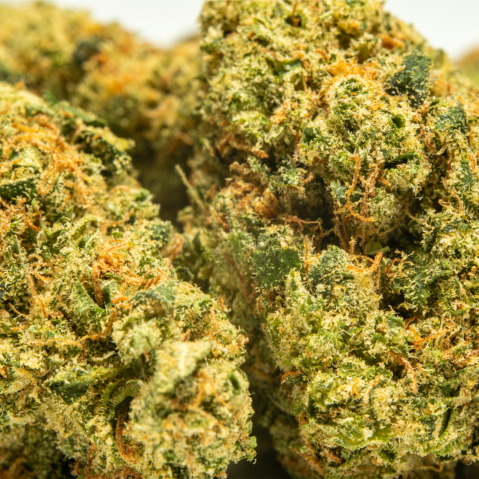 Top Jar Black Diamond - Flower Bigs