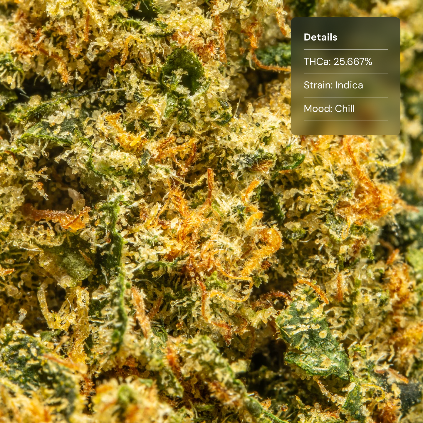 Top Jar Black Diamond - Flower Bigs