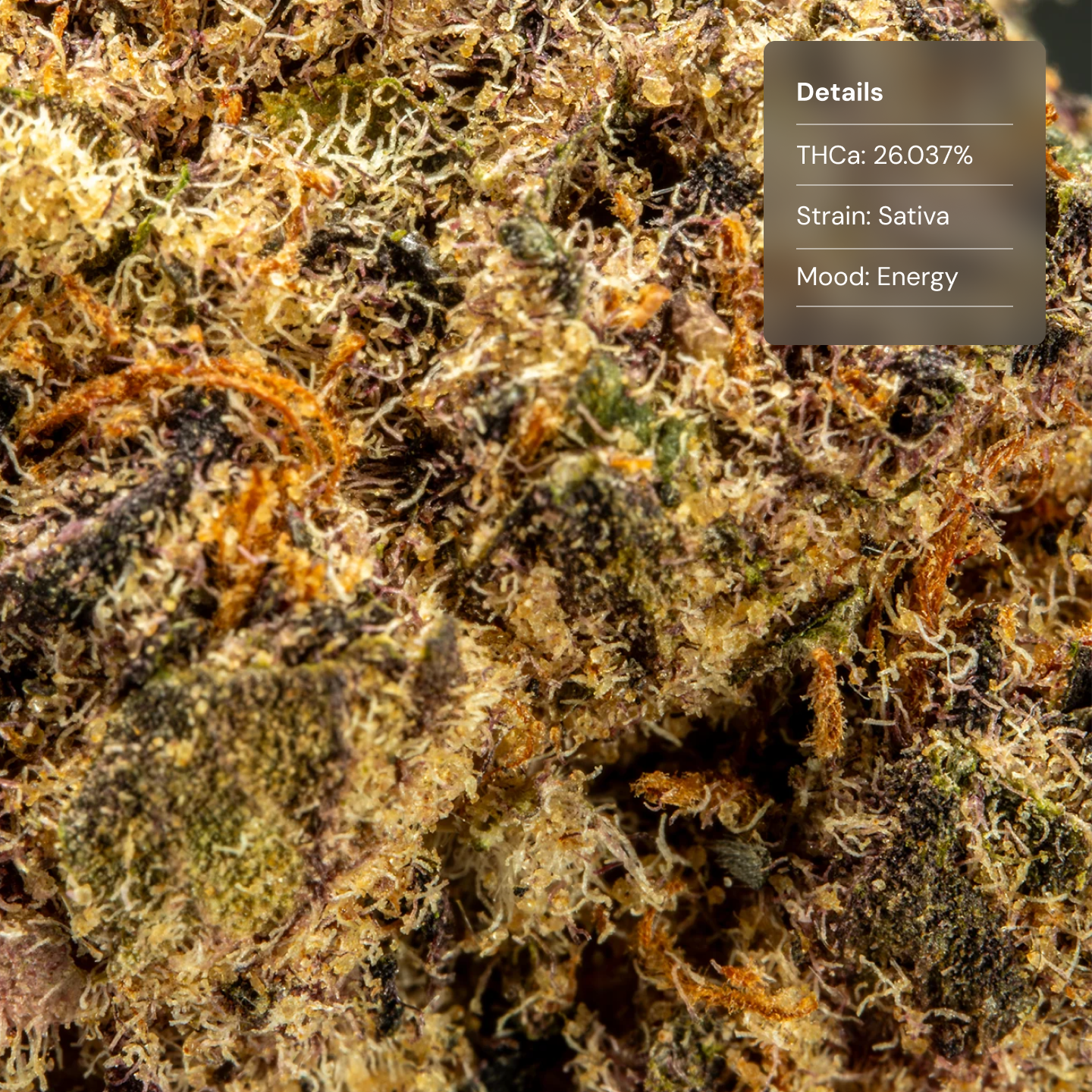 Top Jar Blockberry - Flower Bigs