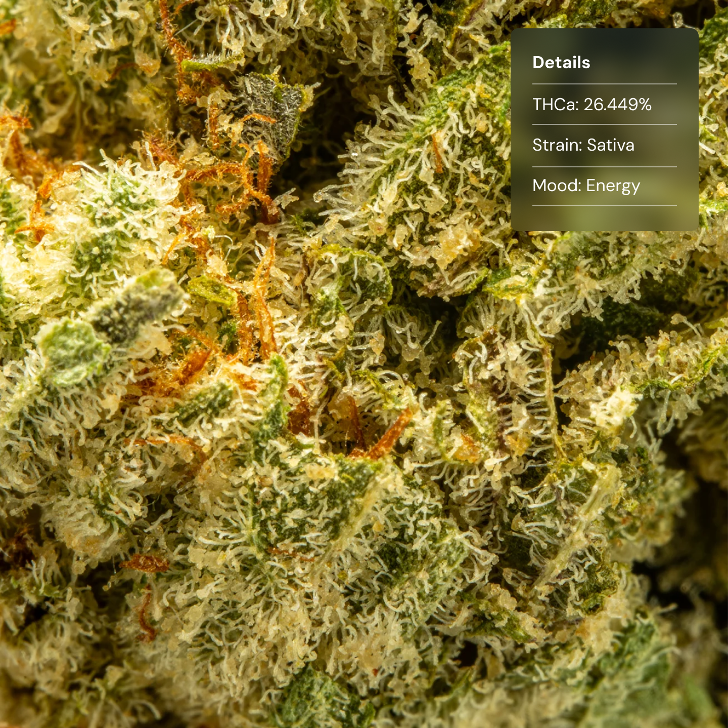 Top Jar Blueberry Skittle - Flower Bigs