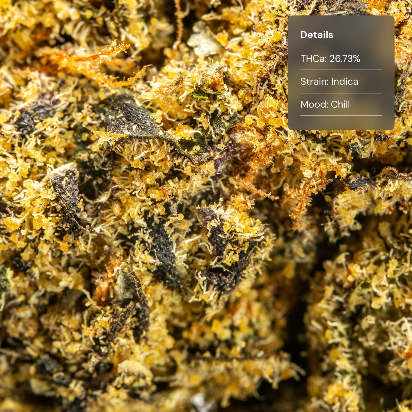 Top Jar Bubble Gum Gelato - Flower Bigs