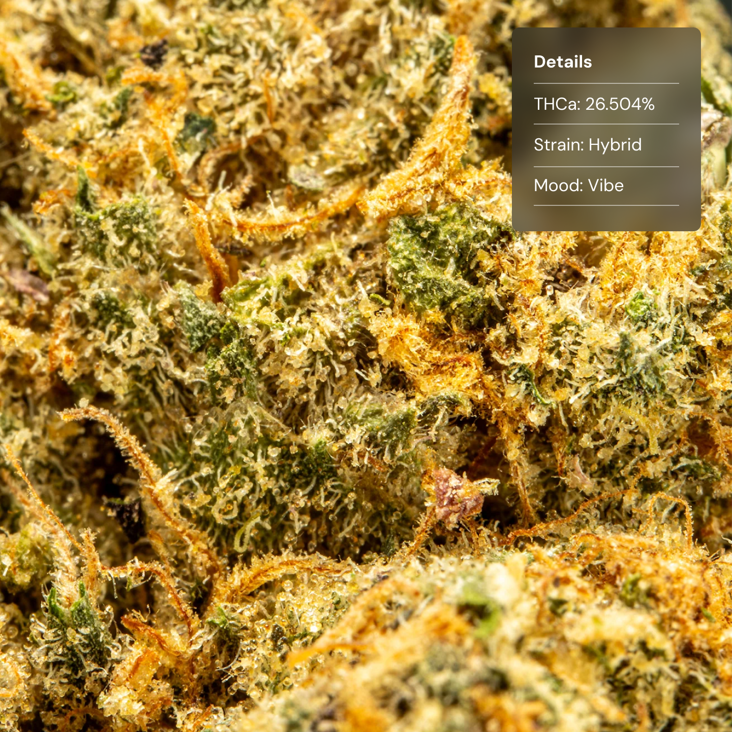 Top Jar LA Push Pop - Flower Bigs