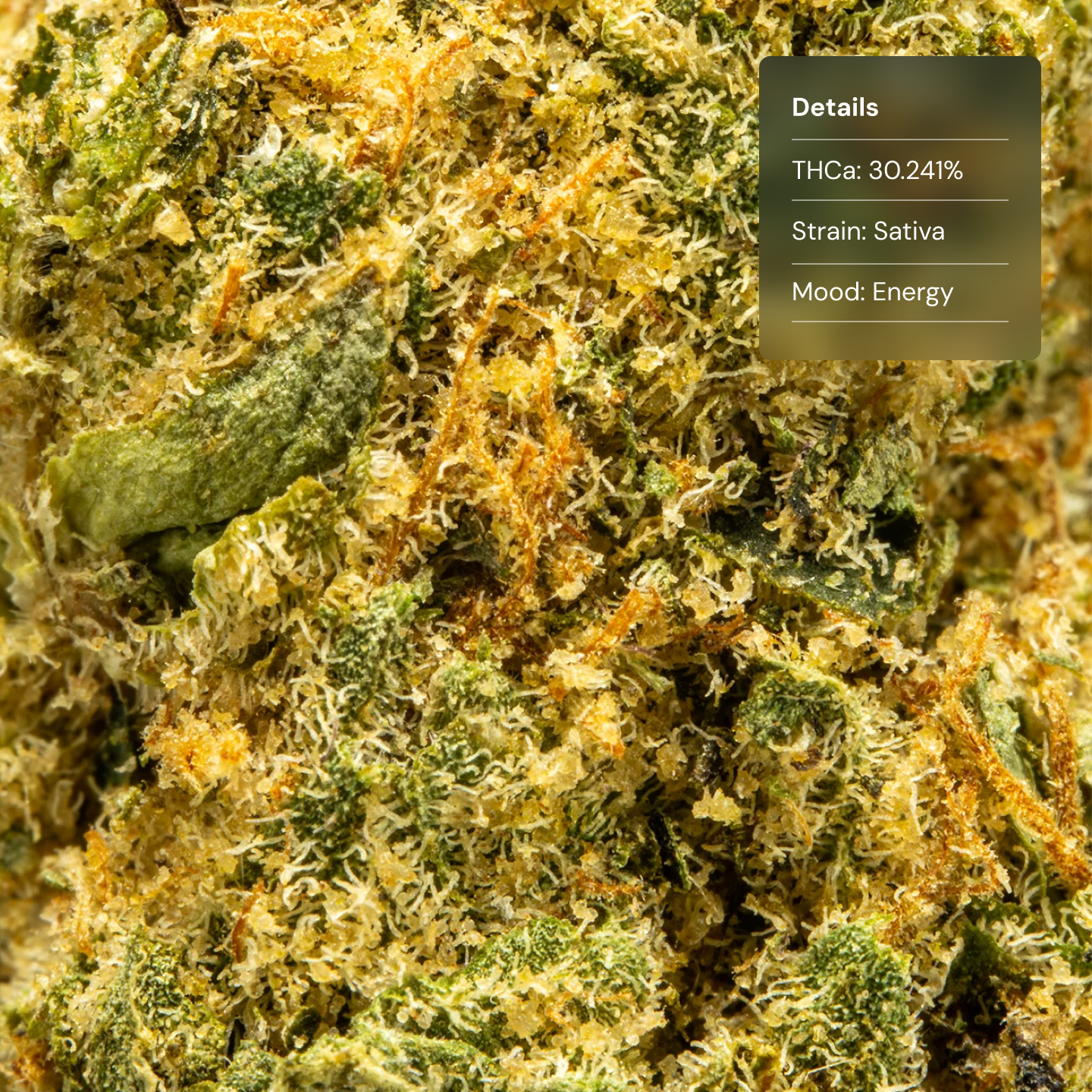 Top Jar Lime Skunk - Flower Bigs