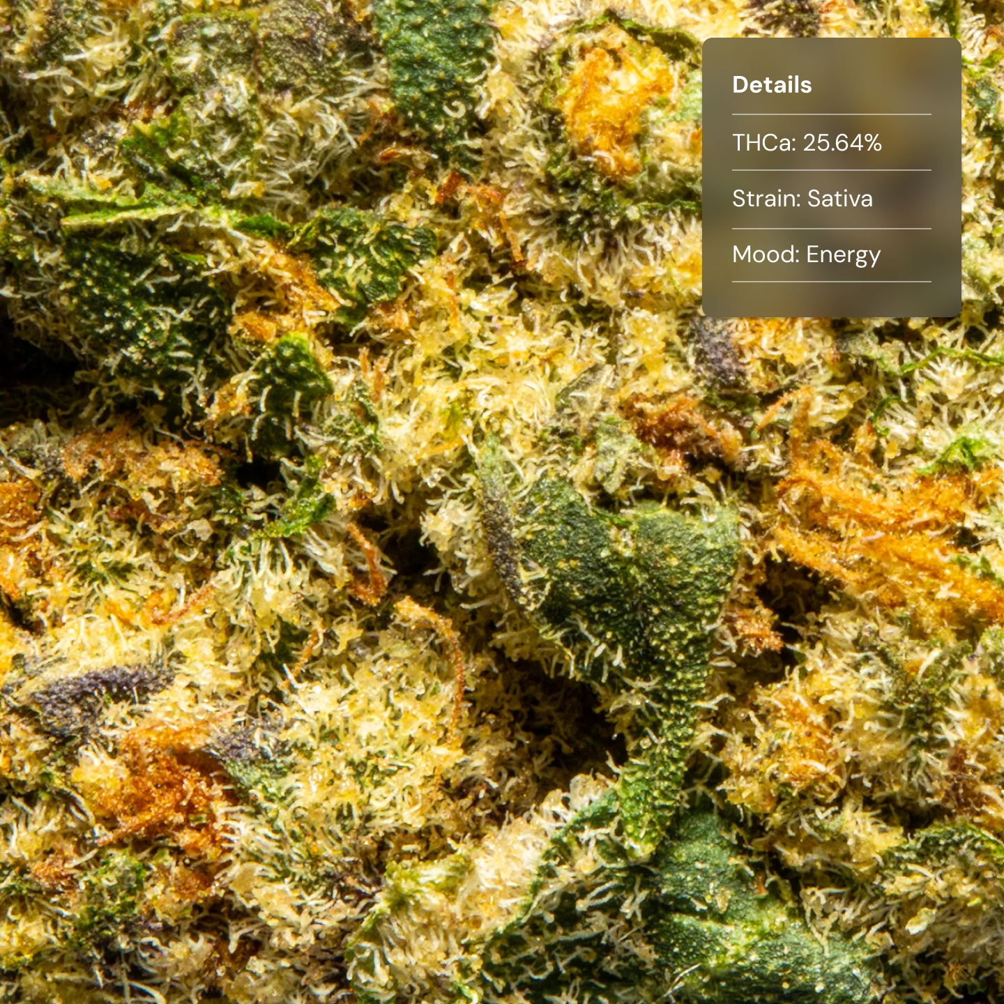 Top Jar Pink Lemonade - Flower Bigs