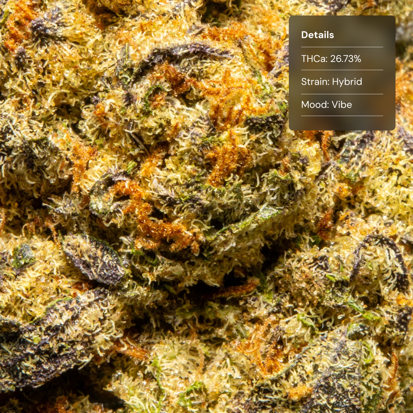 Top Jar Pop Rocks - Flower Bigs