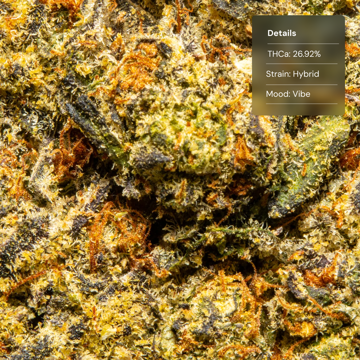 Top Jar White Guava - Flower Bigs